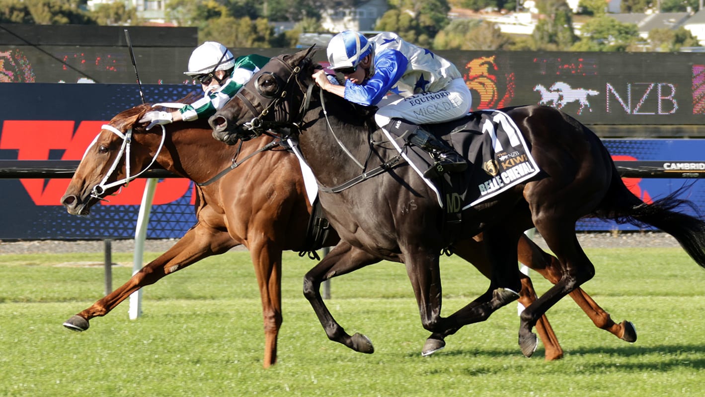 Jockey Comments | The NZB Kiwi