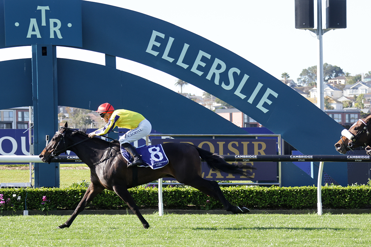 Jockey Comments – Group 3 Sunline Vase