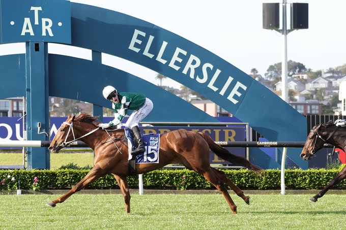 Jockey Comments I G1 Proisir Plate