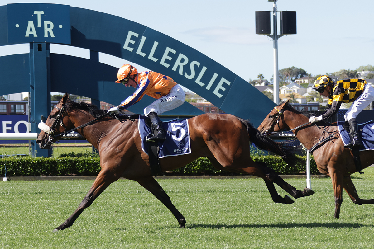 Jockey Comments I G2 Windsor Park Stud Soliloquy Stakes