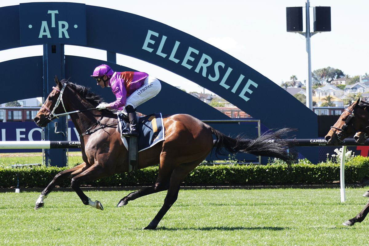 Jockey Comments I G3 Sweynesse Stakes
